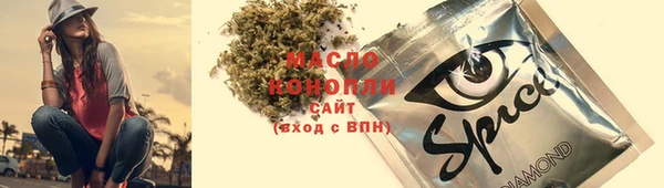твердый Михайлов