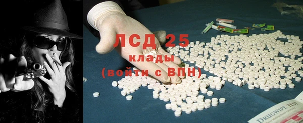 твердый Михайлов